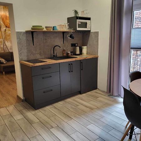 Aparthotel Krzywa Katowice Kültér fotó